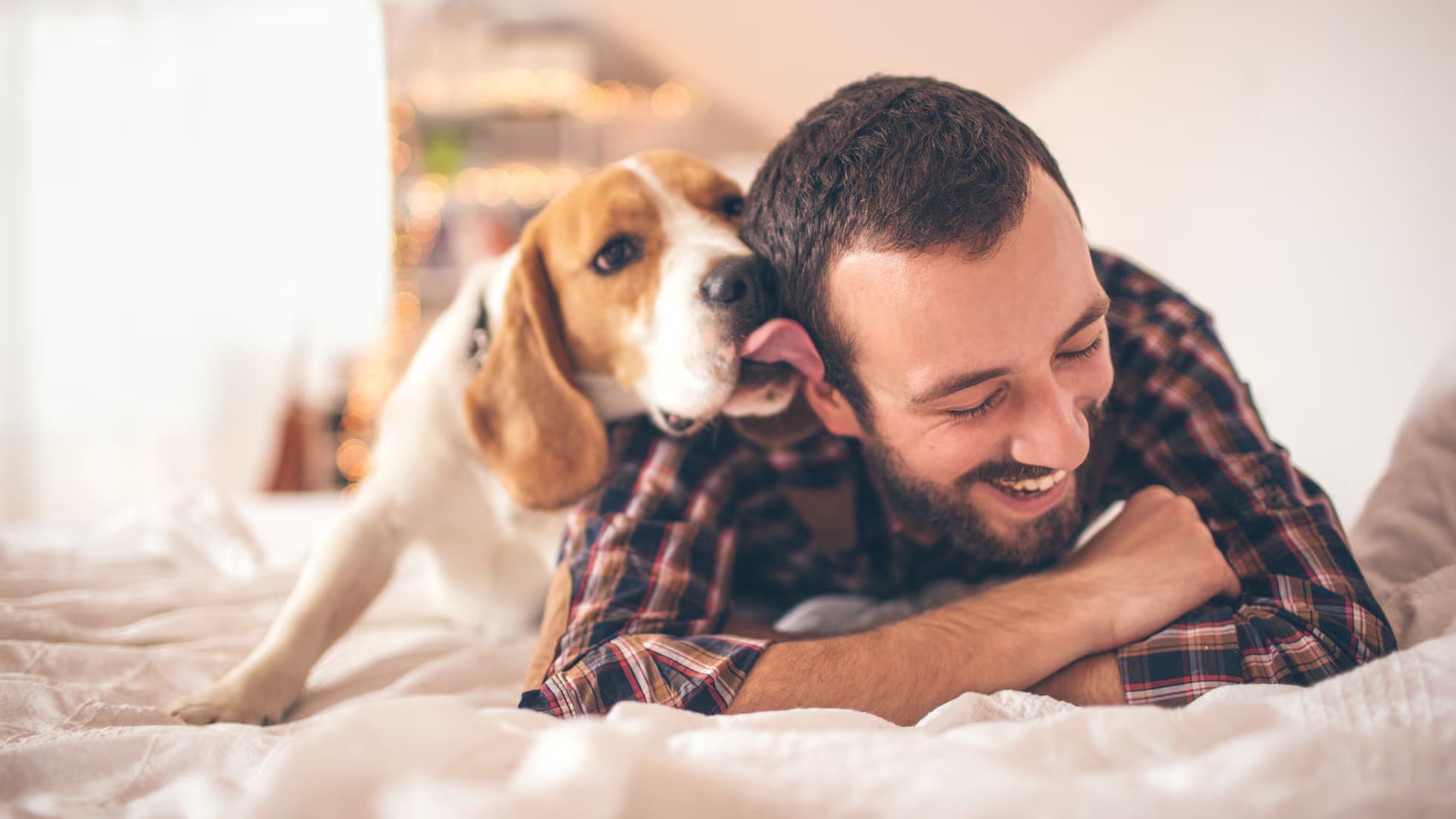 ¿Cómo mejorar el vínculo con mi perro?