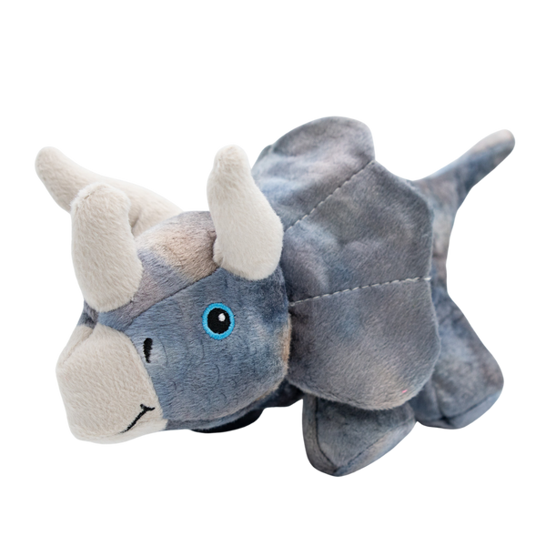 Trini “La Triceratops”