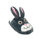 Conesuela