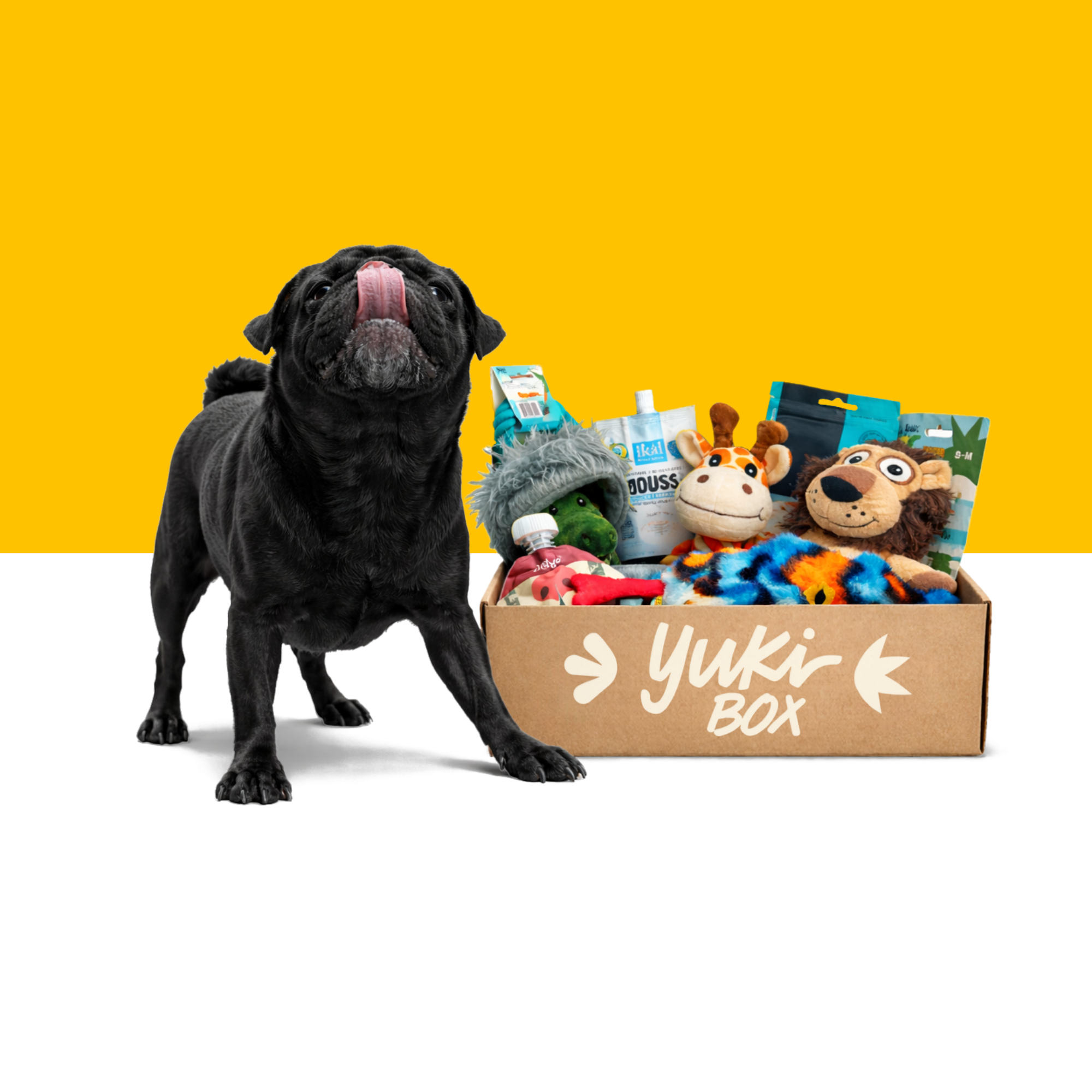 Prueba una Yuki Box