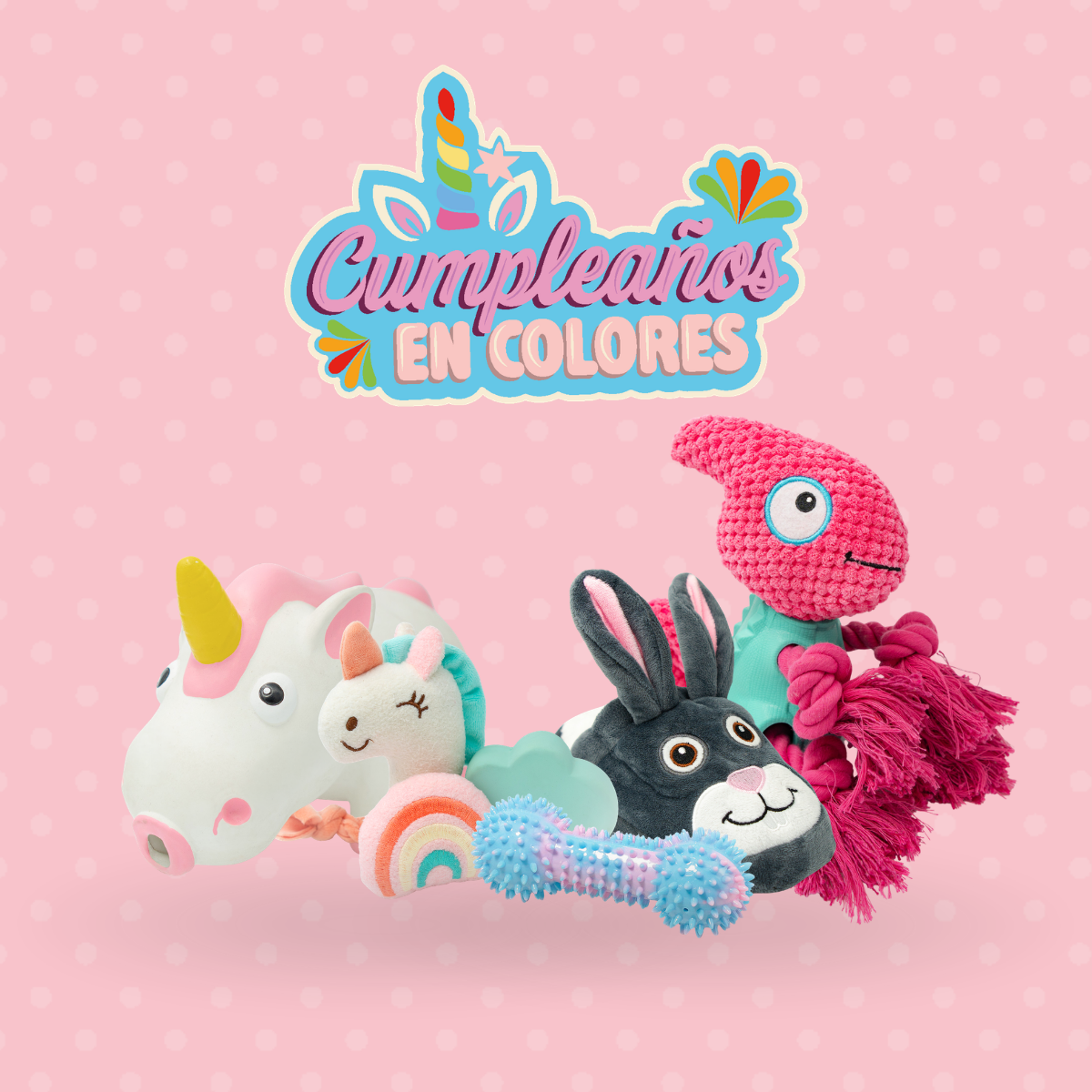 Yuki Box CumpleaÑos en Colores