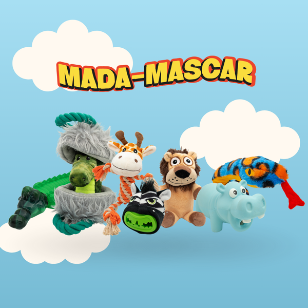 Yuki Box Mada-mascar
