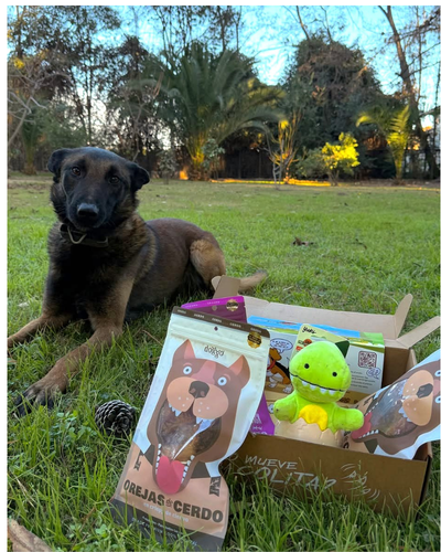 Yuki Box SUSCRIPCIÓN