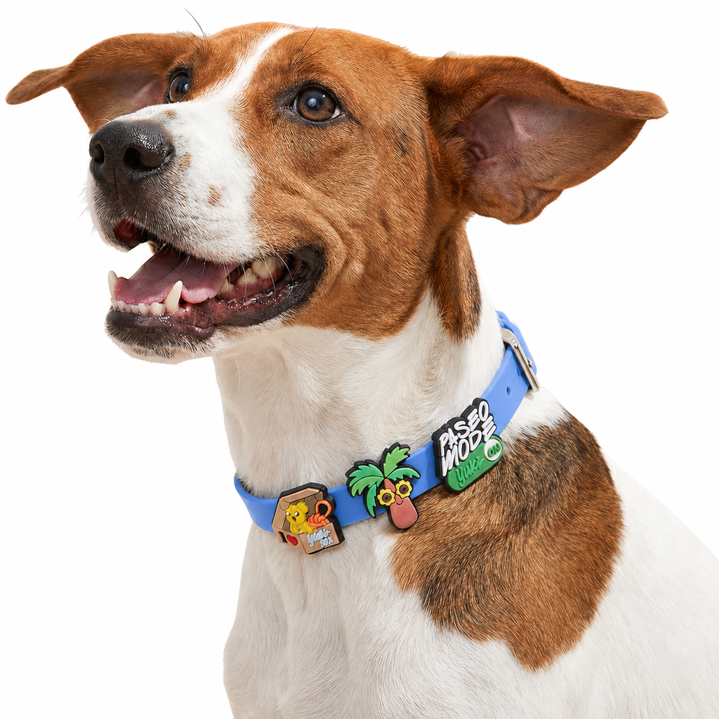 Collar Yuki + 2 Charms