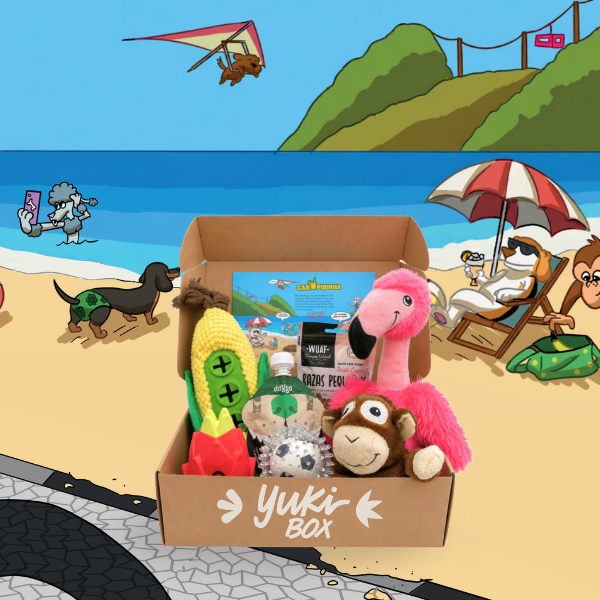 Yuki Box Canpirinha