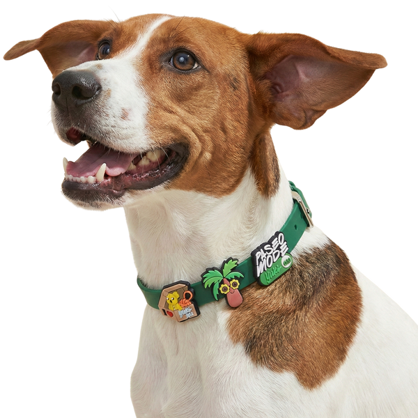 Collar Yuki + 2 Charms