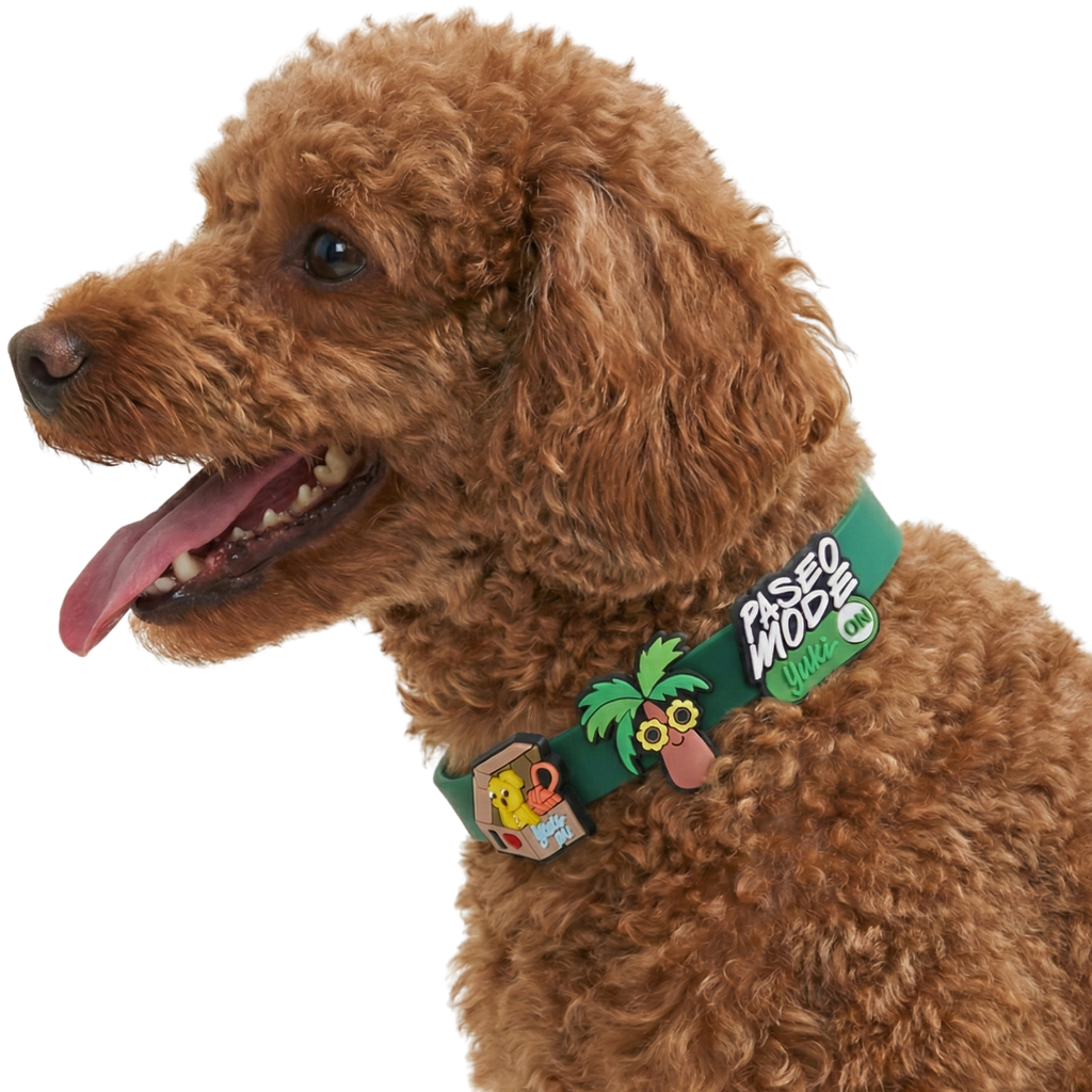 Collar Yuki + 2 Charms