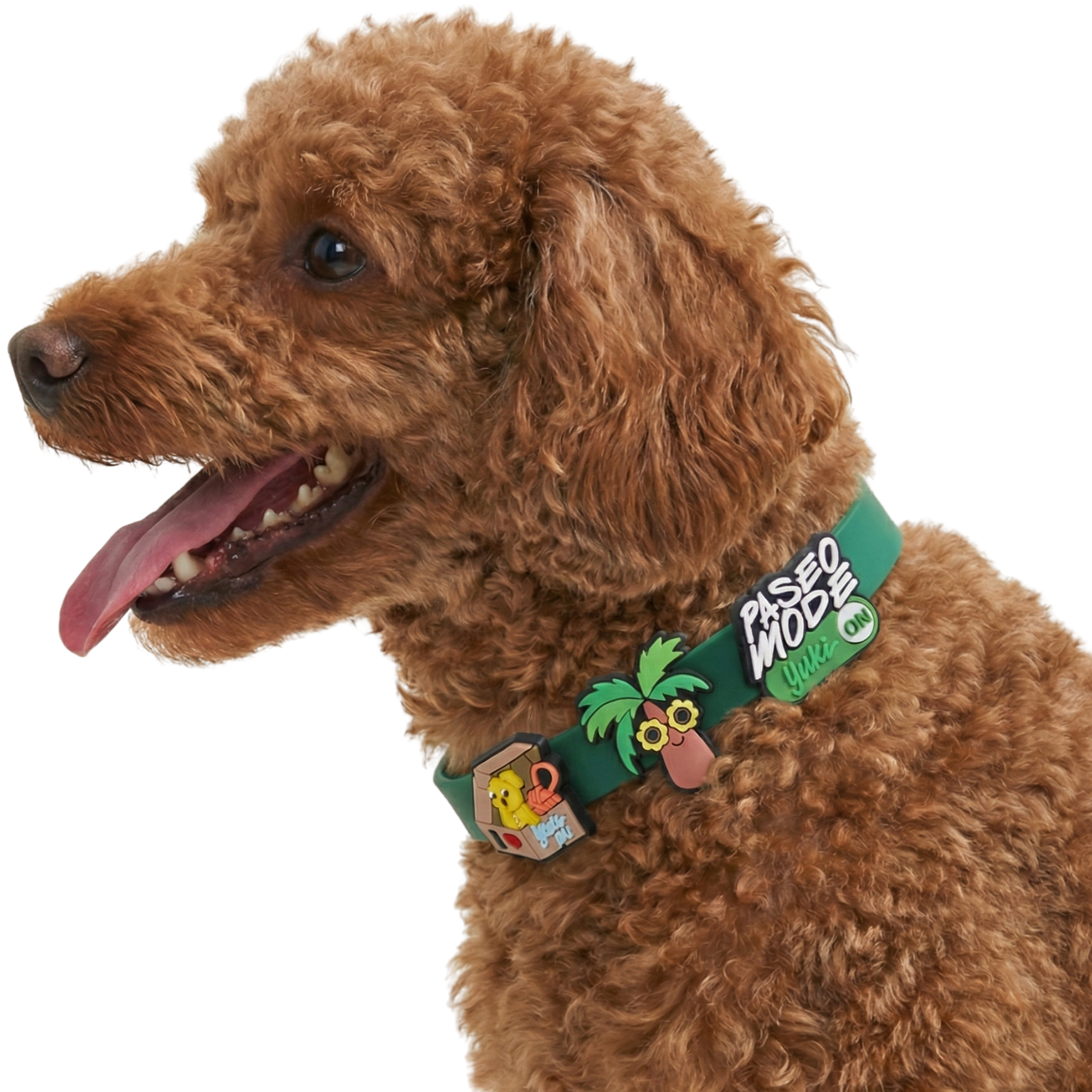 Collar Yuki + 2 Charms