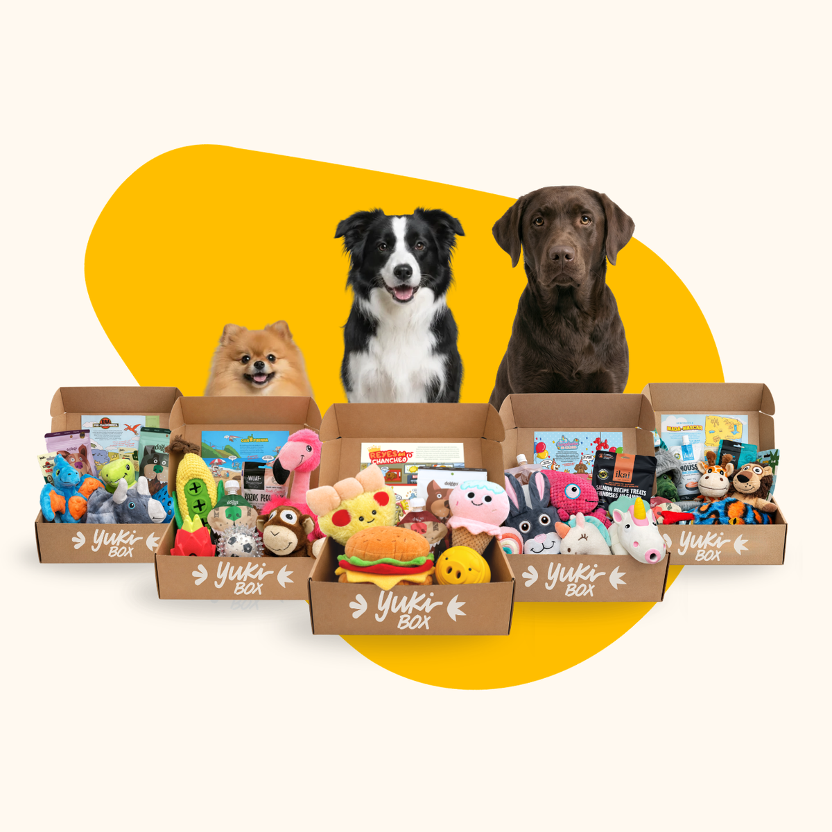 ¡CREA LA CAJITA FELIZ PERSONALIZADA PARA TU PERRITO!