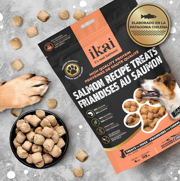 Snack Salmón Ikai Perro 113g