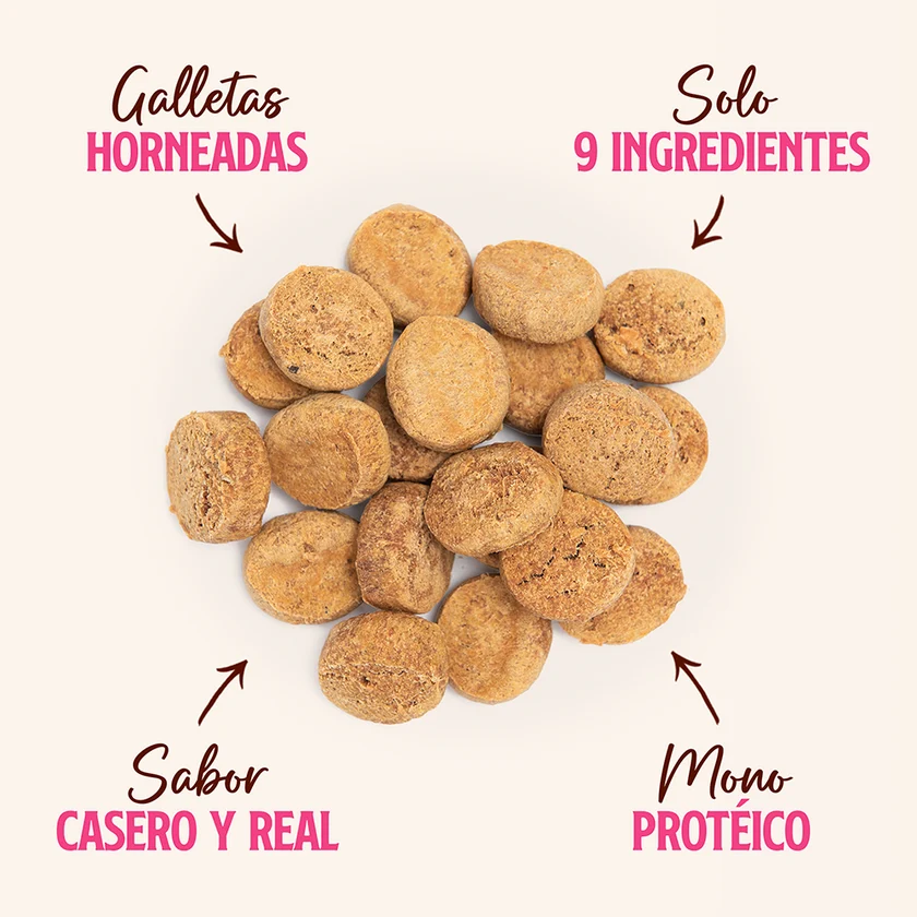 Snack Wuaf Cerdo Zapallo 100g