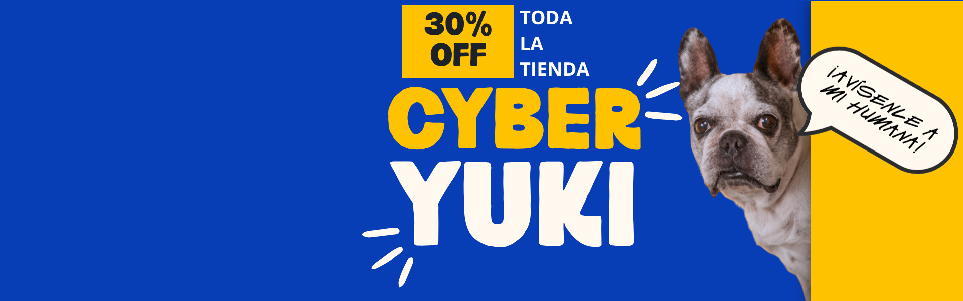 ¡YUKI BOX!