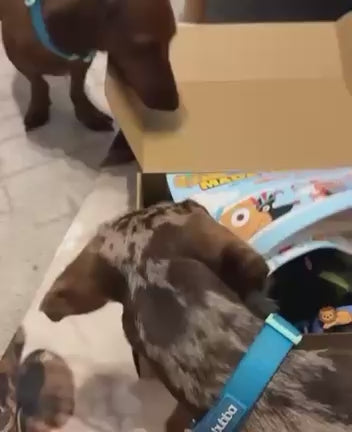Prueba una Yuki Box